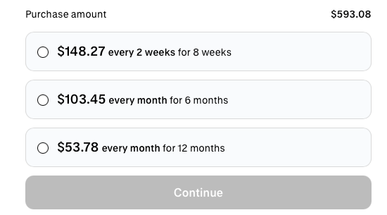 Payment plan options